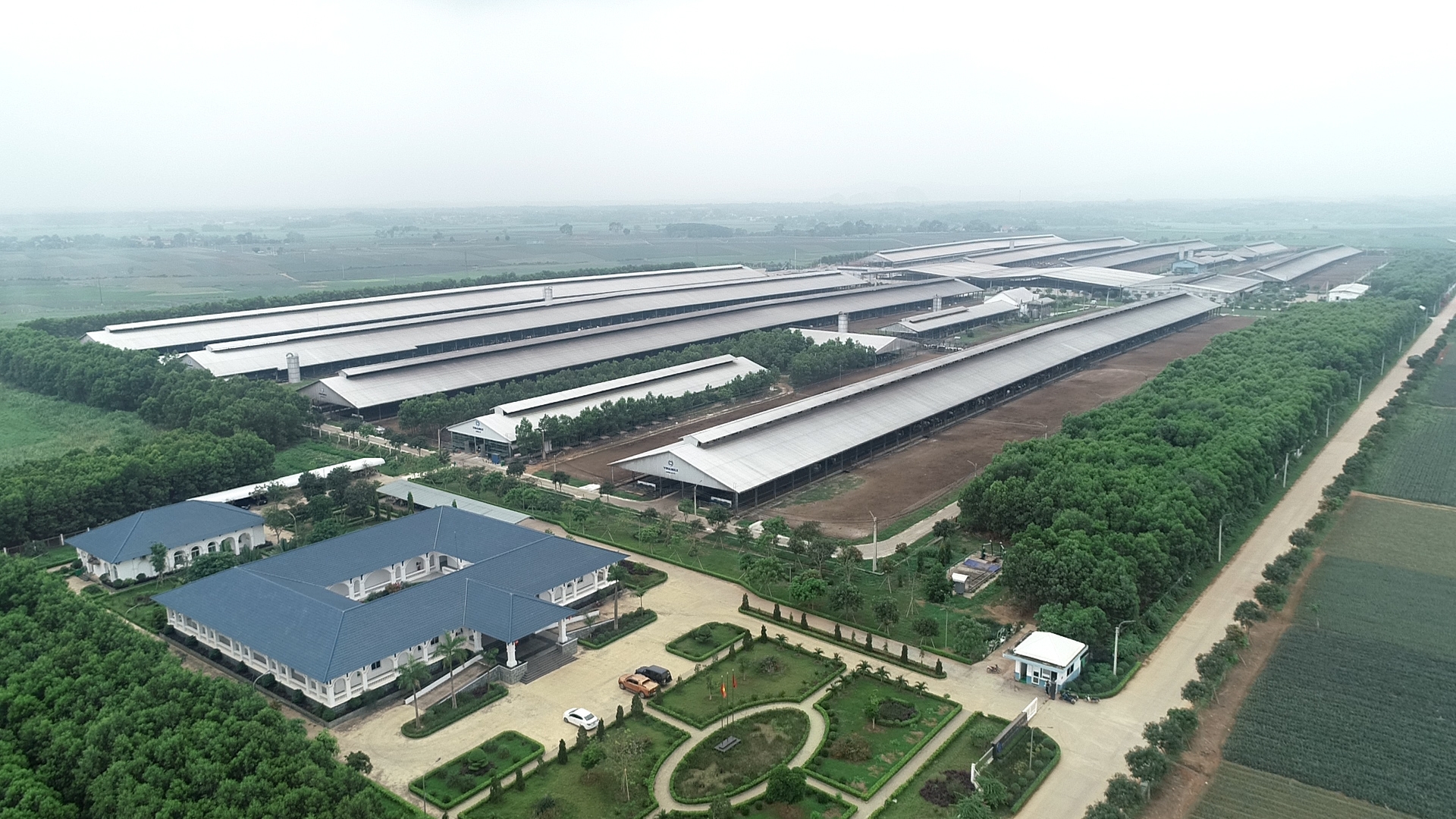 Dự án Trang trại Bò sữa Thống Nhất Thanh Hóa