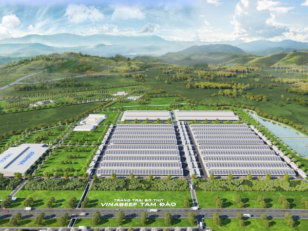 Đầu tư cải tạo trang trại, chuyển đổi vật nuôi từ lợn sang bò thịt, xây dựng cơ sở giết mổ, bảo quản và phân phối tại Tam Đảo