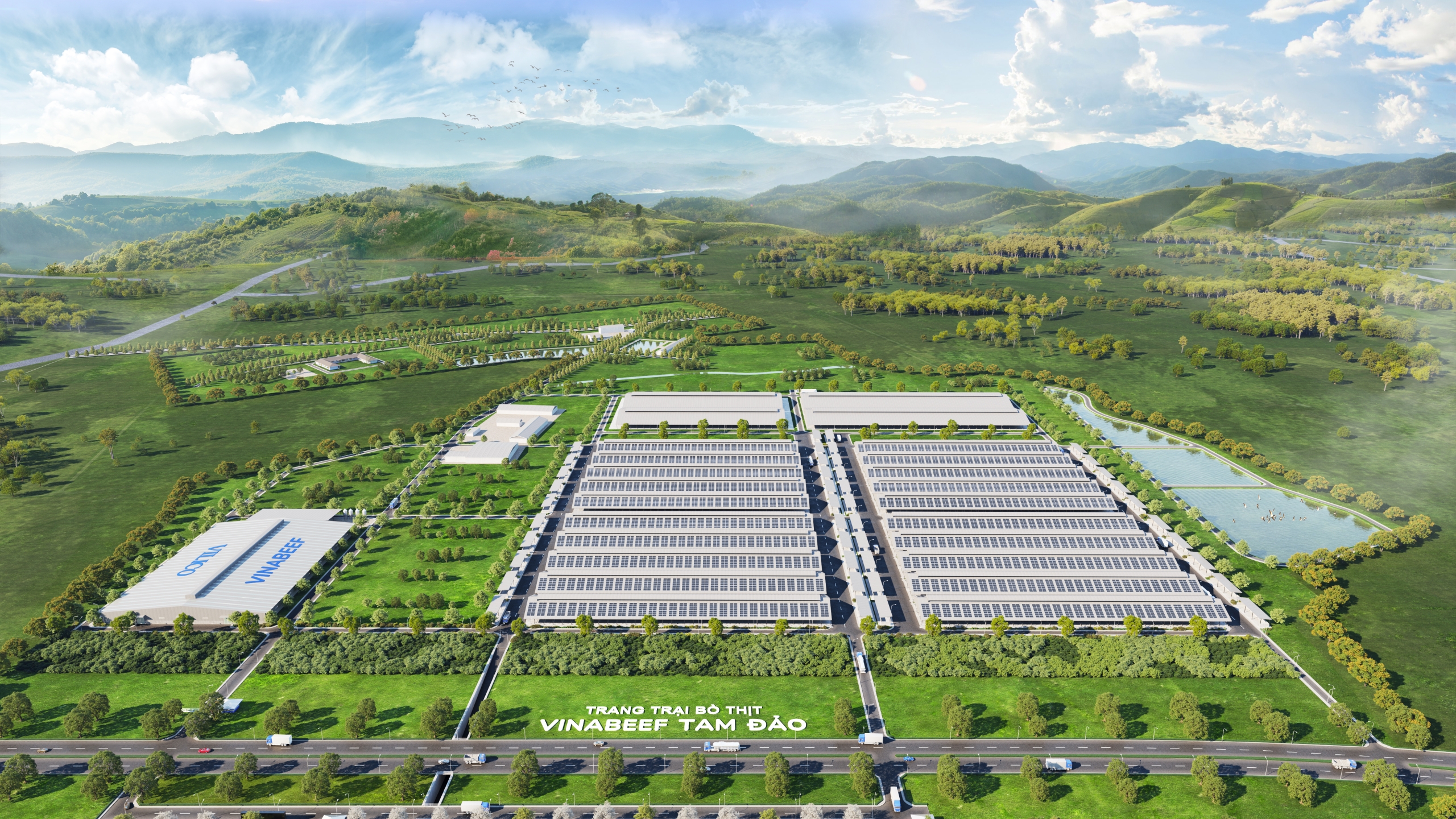 Đầu tư cải tạo trang trại, chuyển đổi vật nuôi từ lợn sang bò thịt, xây dựng cơ sở giết mổ, bảo quản và phân phối tại Tam Đảo